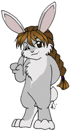Duo Bunny